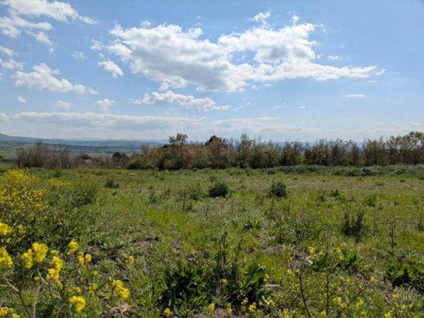 terreno agricolo in vendita a Pietrelcina