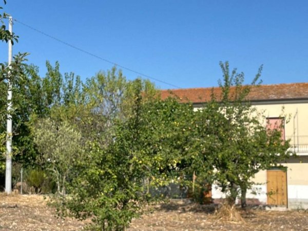 casa indipendente in vendita a Pietrelcina