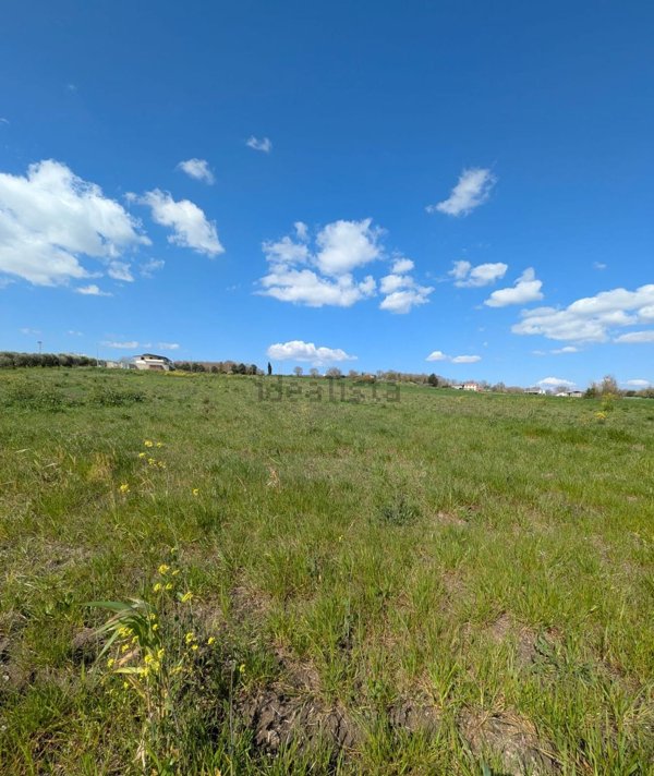 terreno agricolo in vendita a Pietrelcina