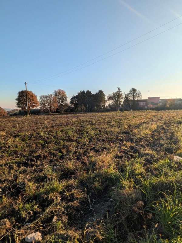 terreno agricolo in vendita a Pietrelcina in zona Piana Romana