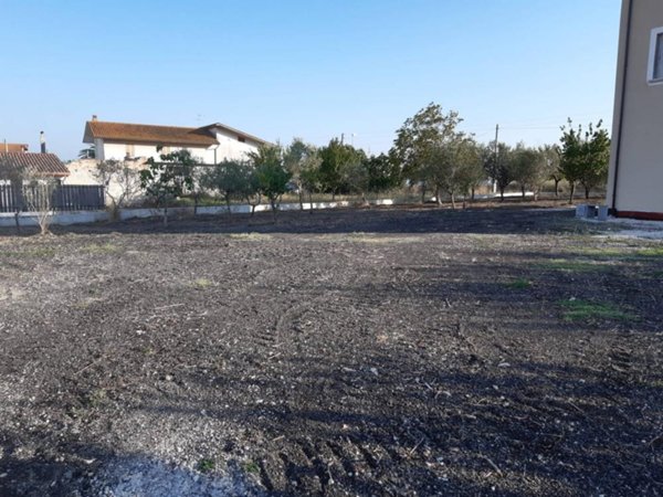 casa indipendente in vendita a Pietrelcina in zona Piana Romana