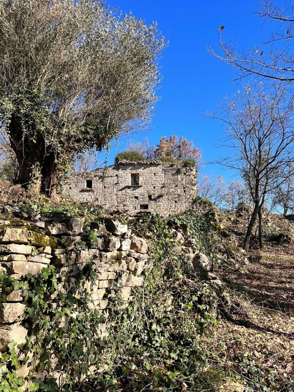 esavano in vendita a Pietrelcina