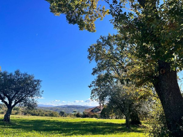 terreno agricolo in vendita a Pietrelcina