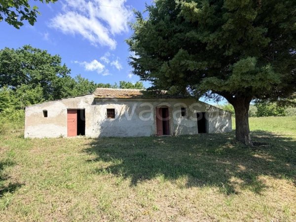 casa indipendente in vendita a Pietrelcina