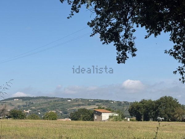 terreno agricolo in vendita a Pietrelcina in zona Stazione