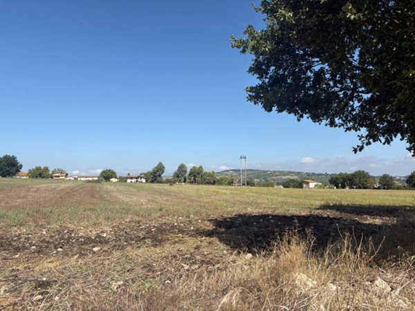 terreno agricolo in vendita a Pietrelcina