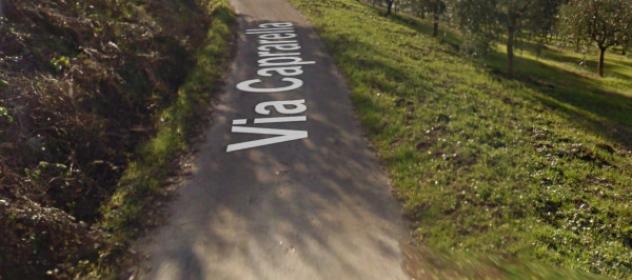 trivano in vendita a Ponte