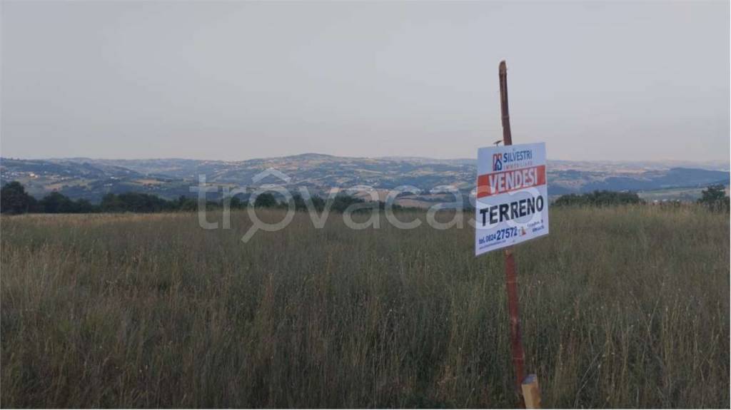 terreno agricolo in vendita a Pontelandolfo