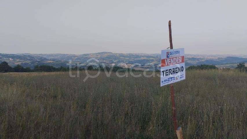 terreno agricolo in vendita a Pontelandolfo