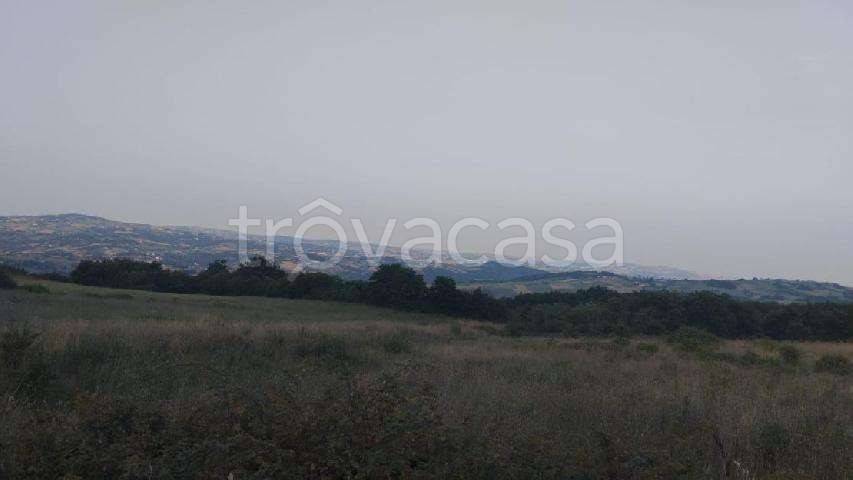 terreno agricolo in vendita a Pontelandolfo
