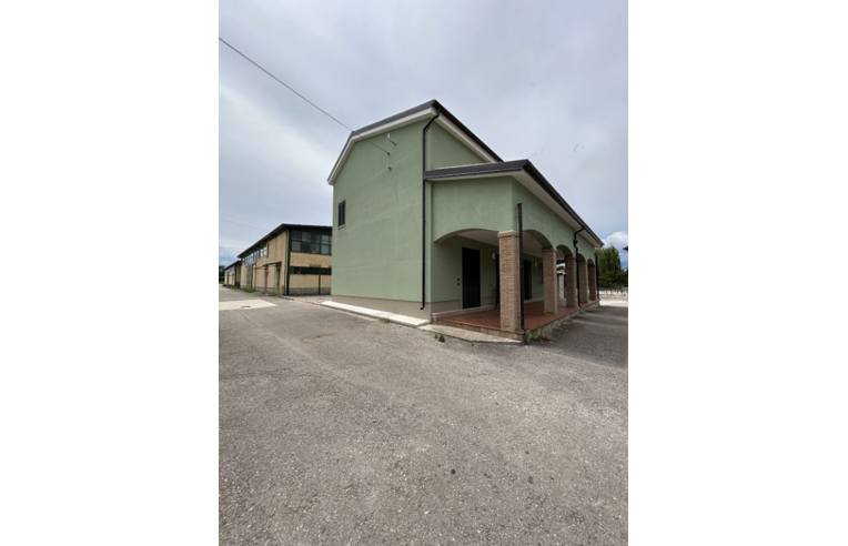 locale commerciale in vendita a Puglianello