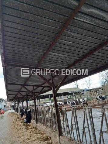 appartamento in vendita a Puglianello