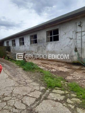 terreno agricolo in vendita a Puglianello