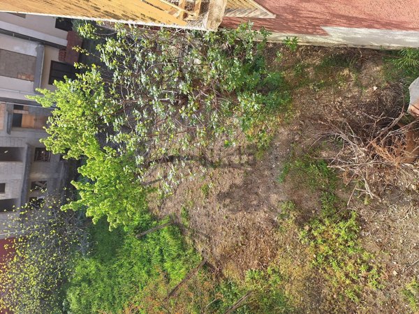 appartamento in vendita a San Bartolomeo in Galdo