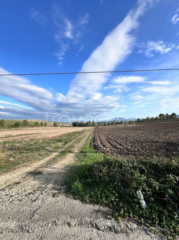terreno agricolo in vendita a San Giorgio del Sannio