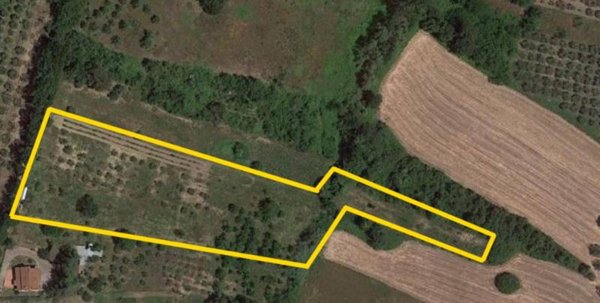 terreno agricolo in vendita a San Giorgio del Sannio in zona Monterone