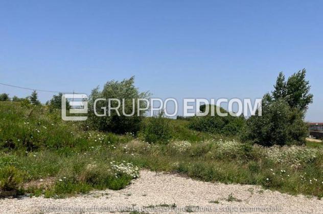 terreno agricolo in vendita a San Giorgio del Sannio