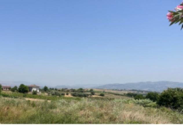terreno agricolo in vendita a San Giorgio del Sannio