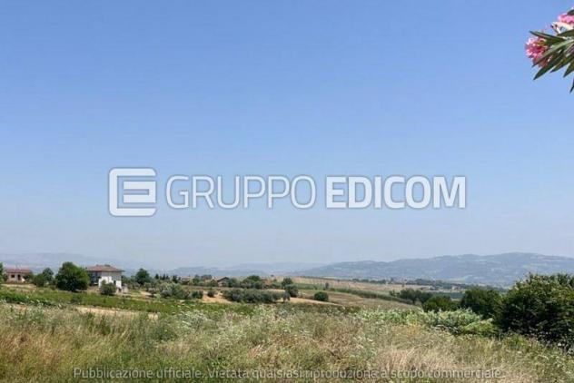 terreno agricolo in vendita a San Giorgio del Sannio