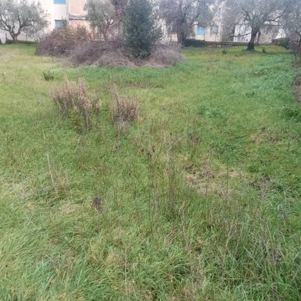 negozio in vendita a San Giorgio del Sannio