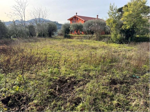 terreno agricolo in vendita a San Giorgio del Sannio