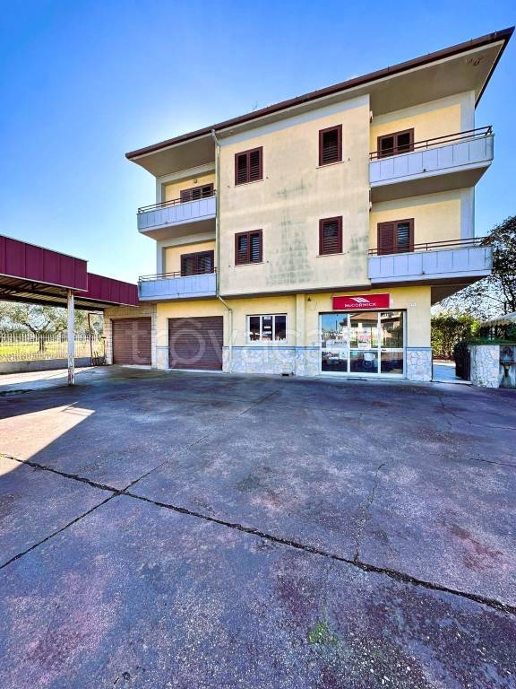 negozio in vendita a San Giorgio del Sannio