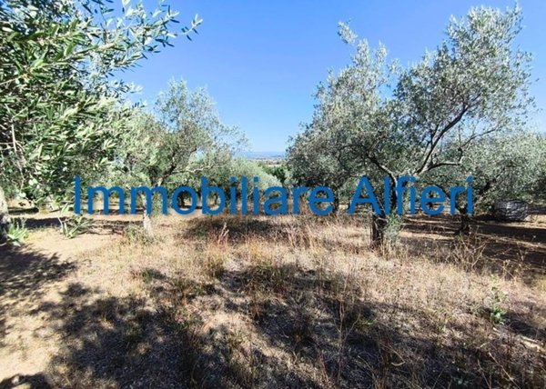 casale in vendita a San Giorgio del Sannio in zona Cesine