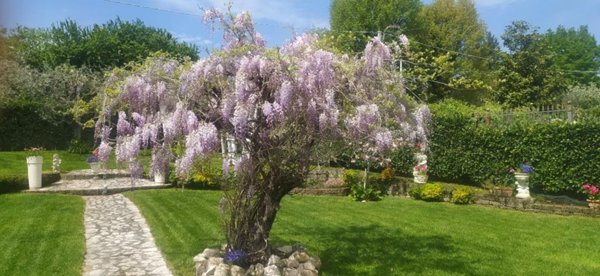 casa indipendente in vendita a San Giorgio del Sannio