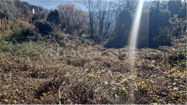 terreno agricolo in vendita a San Leucio del Sannio