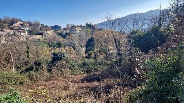 terreno agricolo in vendita a San Leucio del Sannio