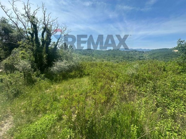 terreno agricolo in vendita a San Leucio del Sannio in zona Ariarelli