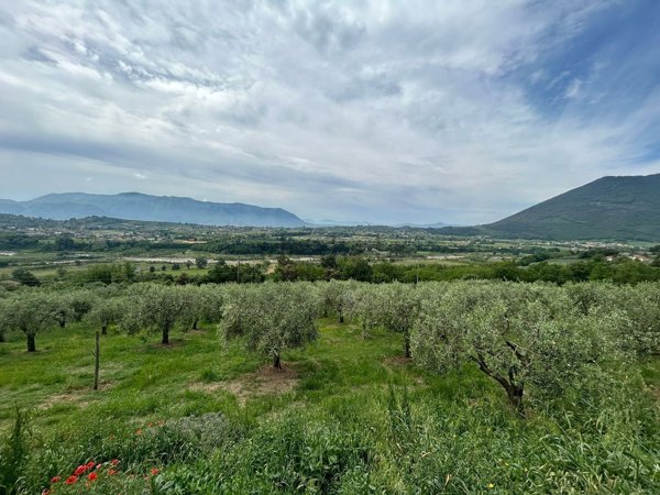 pentavano in vendita a San Lorenzello