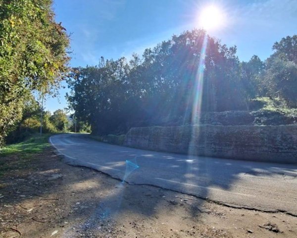 terreno agricolo in vendita a San Martino Sannita