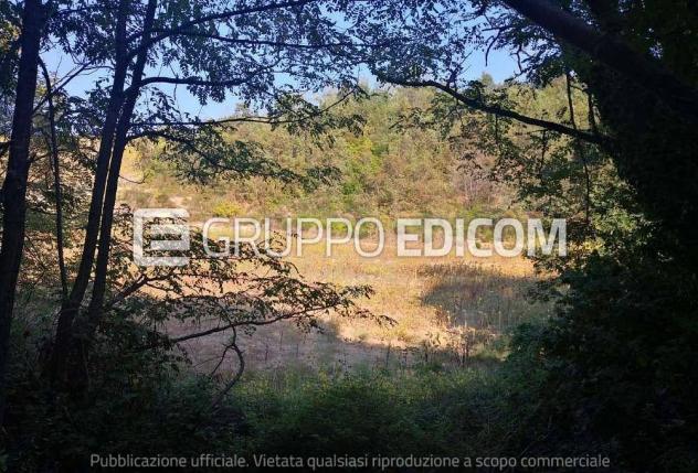 terreno agricolo in vendita a San Nicola Manfredi