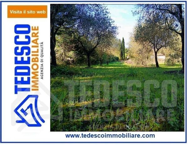 casa indipendente in vendita a San Nicola Manfredi