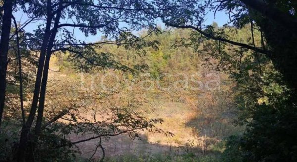 terreno agricolo in vendita a San Nicola Manfredi