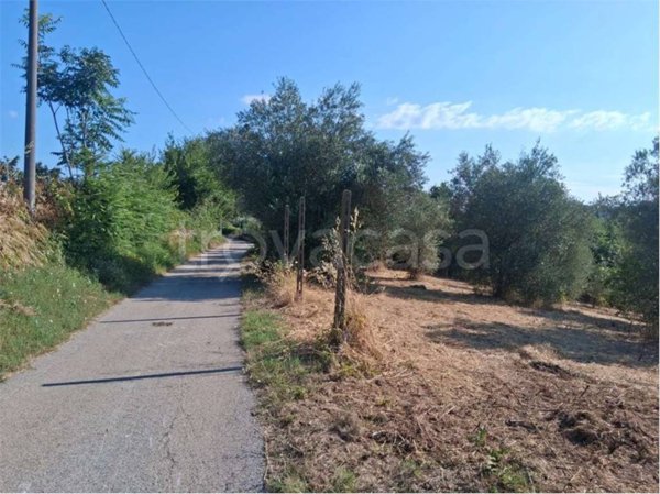 terreno agricolo in vendita a San Nicola Manfredi in zona Iannassi