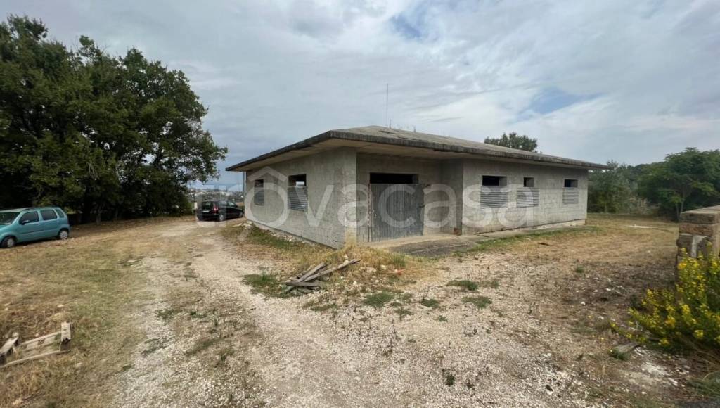 casa indipendente in vendita a San Nicola Manfredi in zona Santa Maria Ingrisone