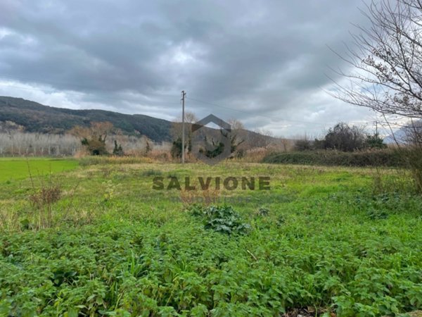 terreno agricolo in vendita a San Salvatore Telesino