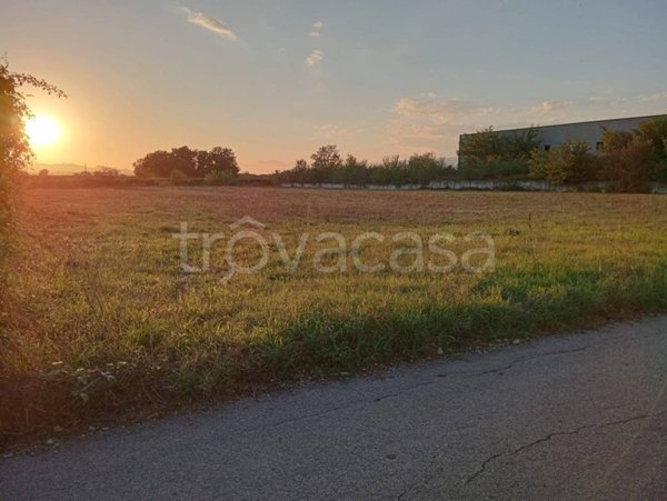terreno agricolo in vendita a San Salvatore Telesino