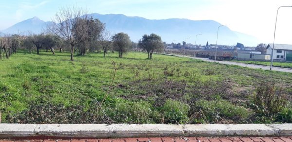 terreno agricolo in vendita a San Salvatore Telesino