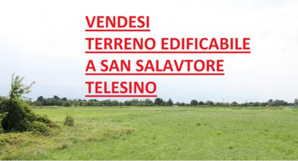 terreno agricolo in vendita a San Salvatore Telesino
