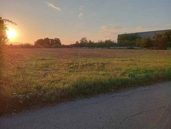 terreno industriale in vendita a San Salvatore Telesino