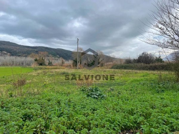 terreno agricolo in vendita a San Salvatore Telesino