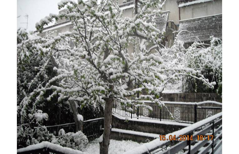 appartamento in vendita a Santa Croce del Sannio