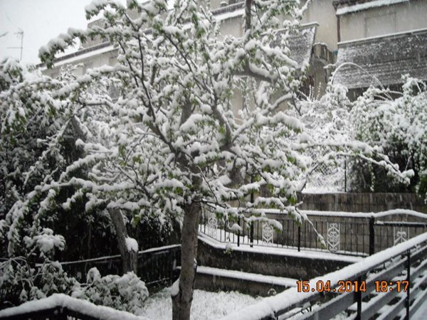 appartamento in vendita a Santa Croce del Sannio