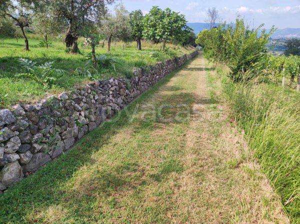 terreno agricolo in vendita a Sant'Agata de' Goti in zona Presta