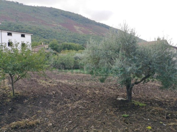 terreno edificabile in vendita a Sant'Agata de' Goti in zona Bagnoli