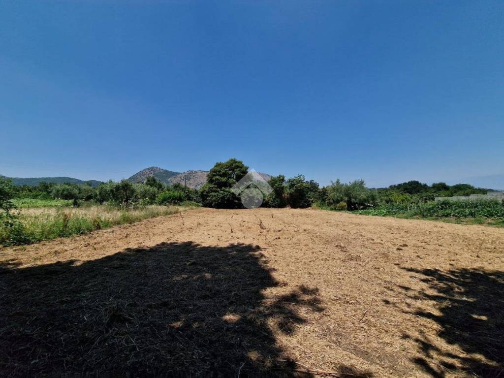 terreno agricolo in vendita a Sant'Agata de' Goti