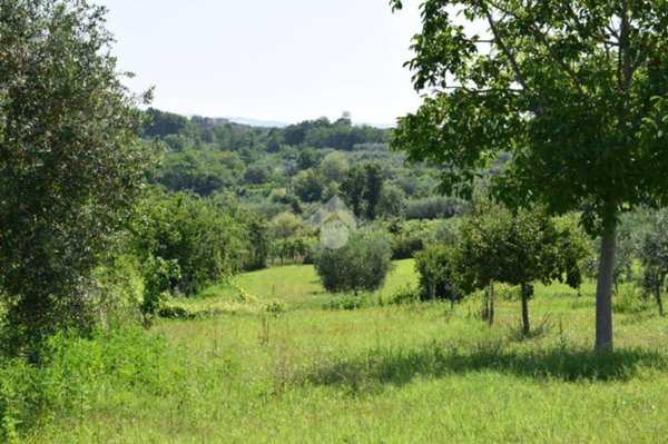 terreno agricolo in vendita a Sant'Agata de' Goti in zona Presta